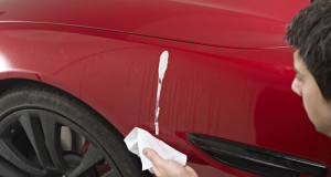 Autoglym Bird Dropping Wipes